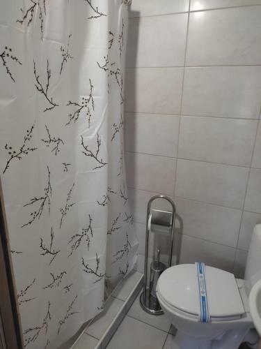 Albergue ?????????
