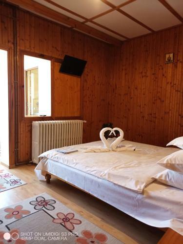 Hostal Casa Rodica Str. Clabucetului 28