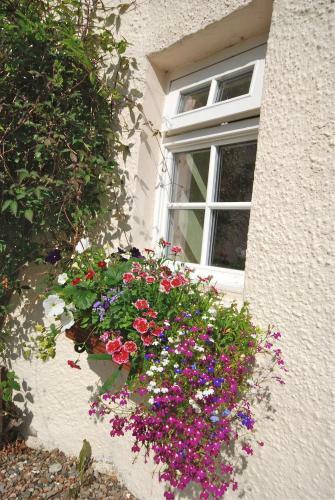 Hydrangea Cottage