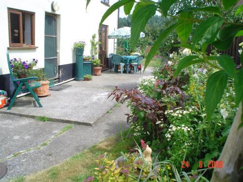 Bed & Breakfast The Elms