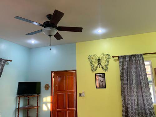 Hostal Lily Pad II