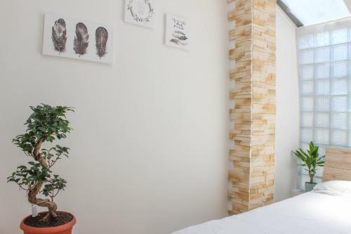 Blue Sails Apartment Izola, Old City Center