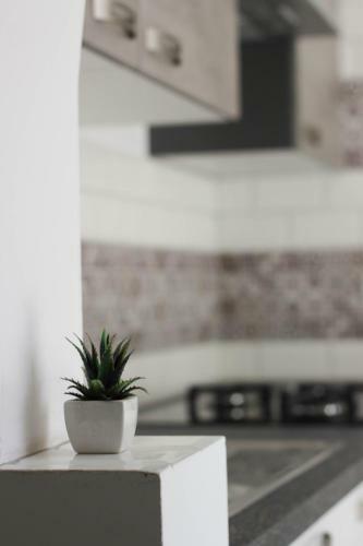 Blue Sails Apartment Izola, Old City Center