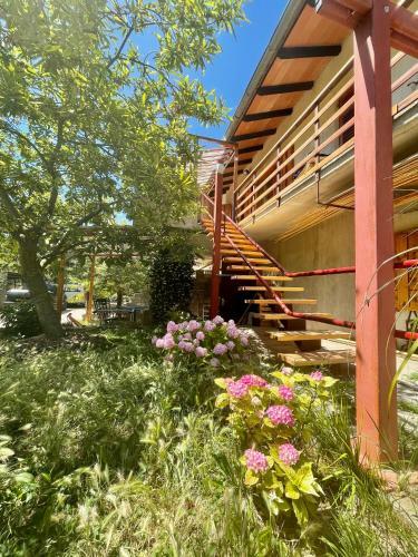 Apartment Olive Grove