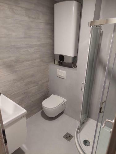 Apartma Rene