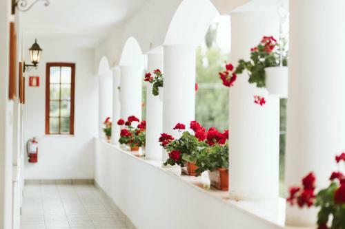 Hotel Janka Villa