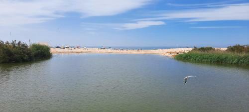 Apartamento Gui Beach House