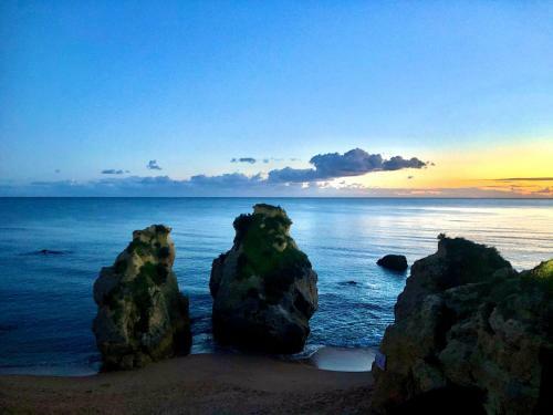 Apartamento New Petit Paradise