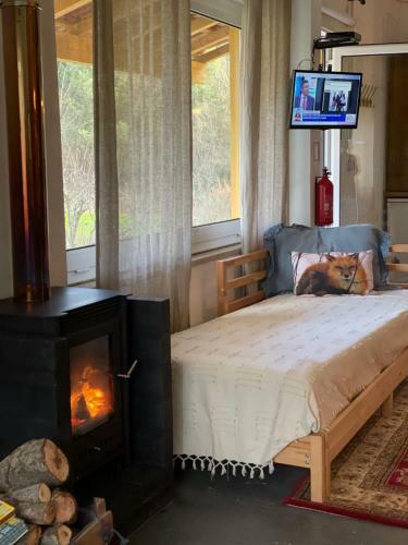 Loft - Casinha � Porta