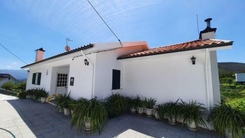 Bed & Breakfast Casa De Vilarinho