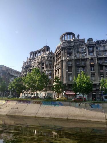 Apartamento Live Bucharest