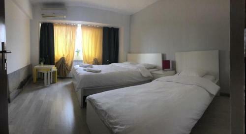 Green Apartment 63