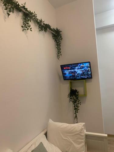 Bucarest B&B