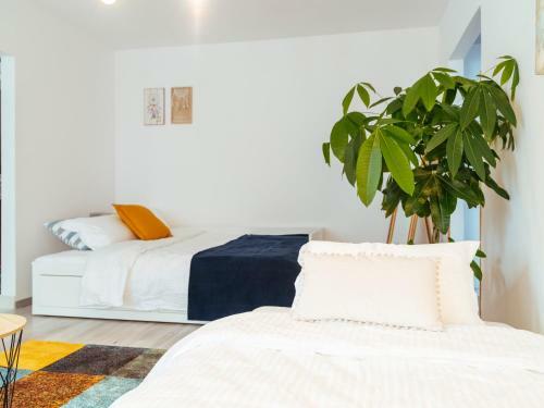 Balcescu Stylish Ultracentral Apartment