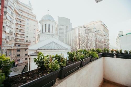 Color Apartments Corneliu Coposu 1a Street
