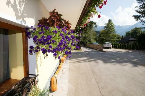 Agroturismo Farmhouse Pri Miklavu