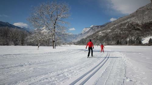 Apartments Bohinjc