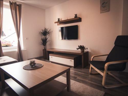 Apartments Stari Tiger
