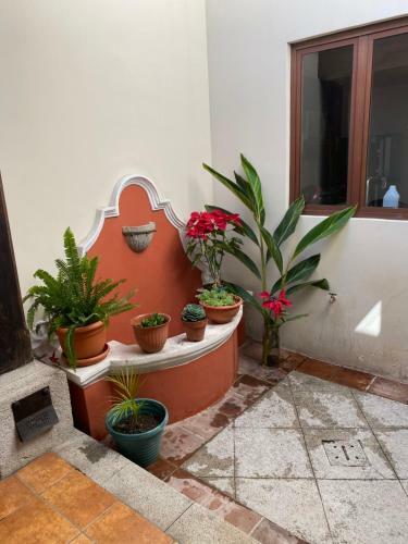 Apartamento Suite Don Pedro: Hermoso Loft Con Parqueo Gratis!