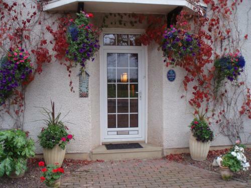 Bed & Breakfast Adniston Manor