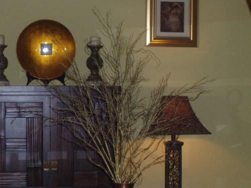 Bed & Breakfast Adniston Manor