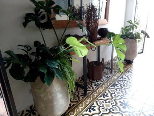 Casa Boutique - Azul - Las Palmas Getsemani