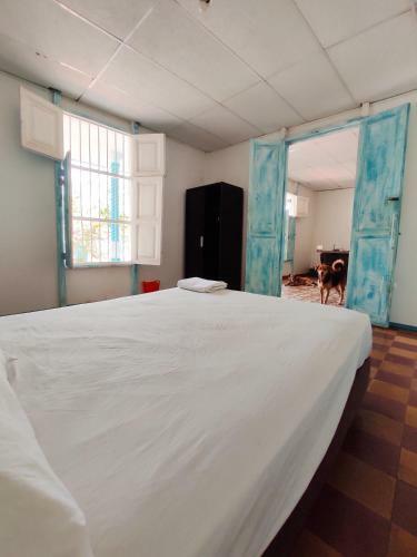 The Mango Tree Hostel 4:20