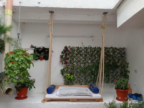 Albergue La 10b