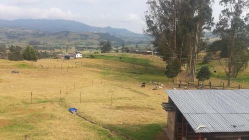El Sol De Mis Tesoros