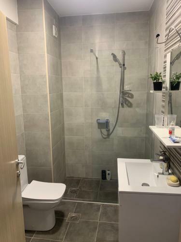 Apartman Aleksic