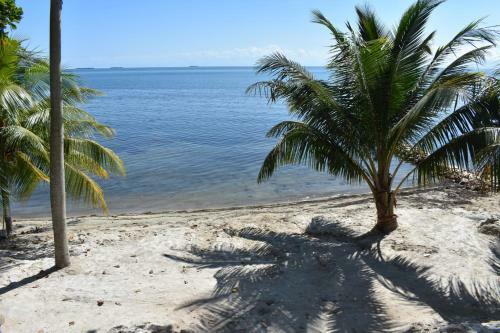 Apartamento Sunset Gecko Condo - 1a