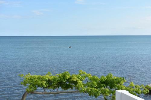 Apartamento Sunset Gecko Condo - 1a