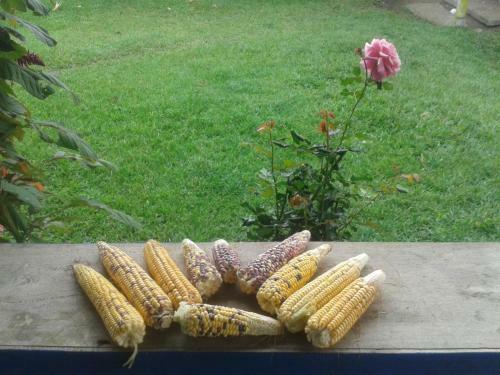 Finca El Topacio