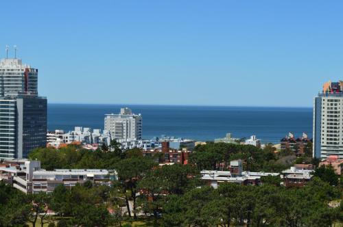 Apartamento Alexander Boulevard 1505