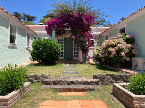 Apartamento Dos Para�sos