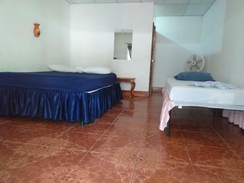 Hostal Bullshark