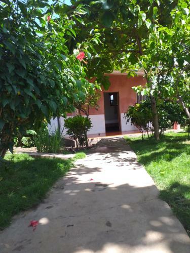 Hostal Bullshark