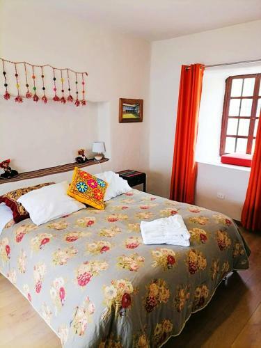 Amazing Pvt Apart With Nice Balcony- Spacious Private Apartment