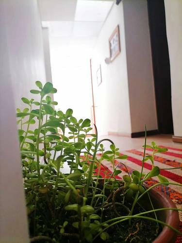 Amazing Pvt Apart With Nice Balcony- Spacious Private Apartment