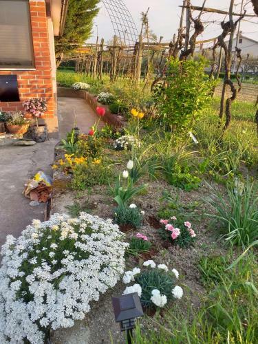 Apartamento Istra