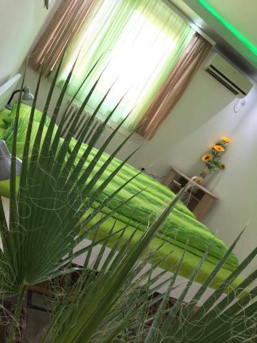 Apartamento Green Dreams