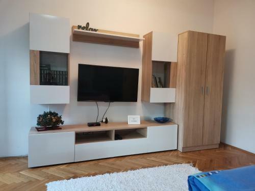 Center Apartment Iva