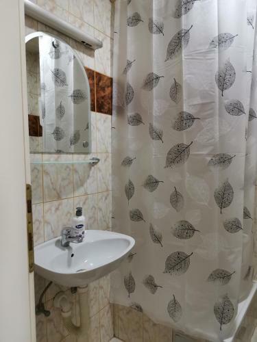 Center Apartment Iva