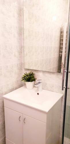 Apartman Mila