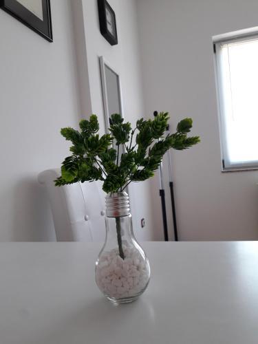 Apartman Dunja Ns 2