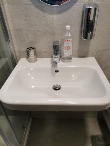 Pupin Palata Business Apartman B15