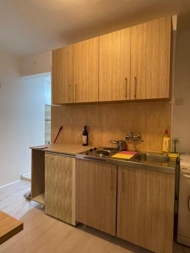Apartment Mina