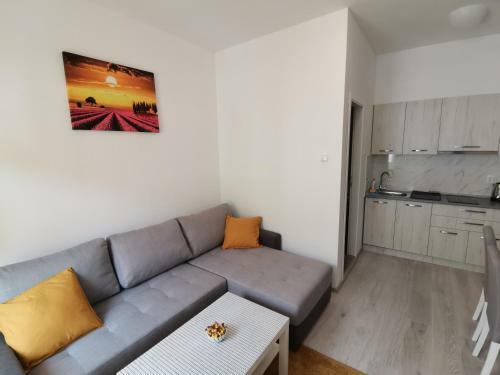 Ris Central Apartments