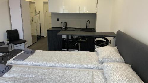 Central Apartment 2