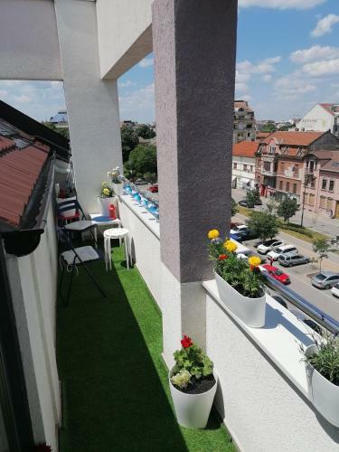 Apartman Strahinja - Centar